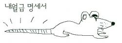 47115.jpg